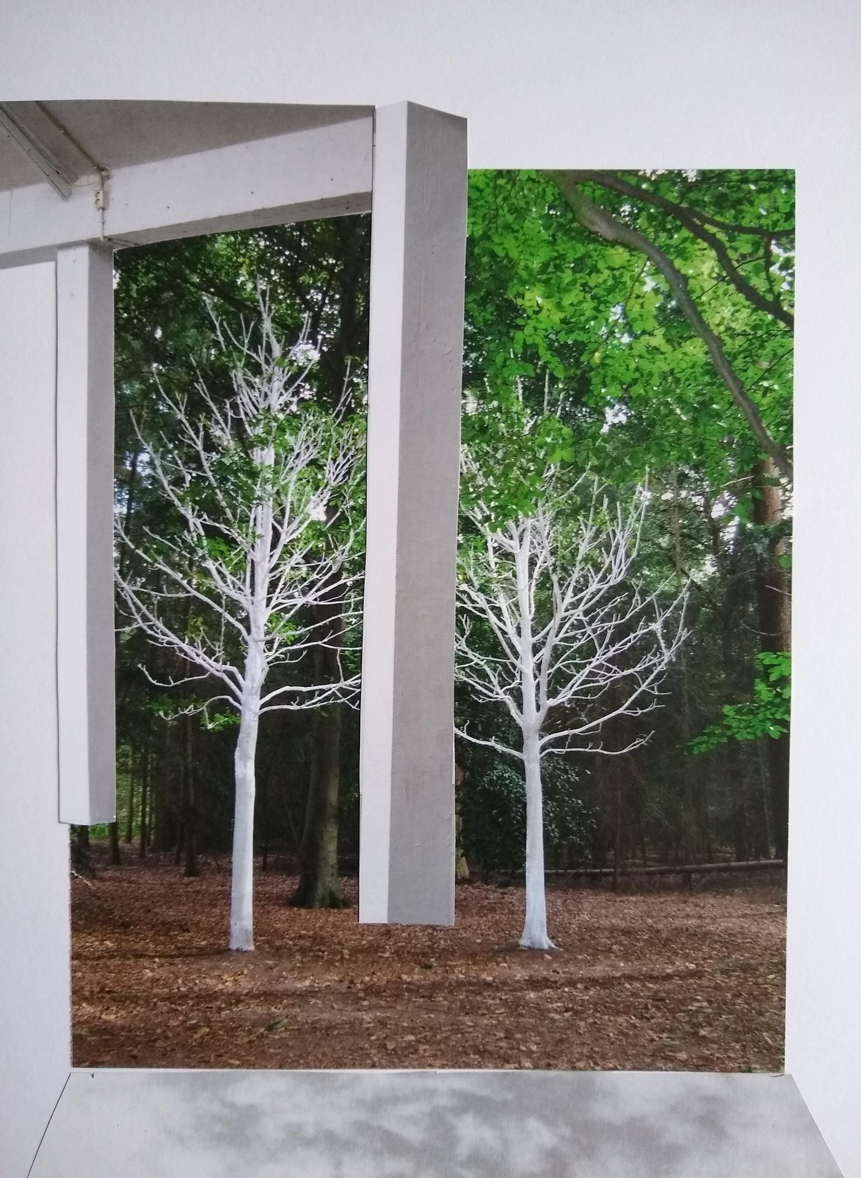 Collage 1c